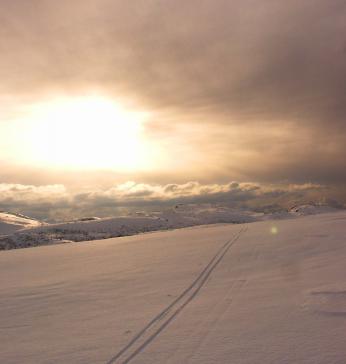 Skulle gjerne tatt turen en gang til.